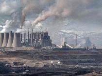 COP31 eyes modest steps as climate disasters multiply