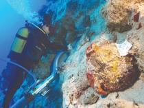 Shipwreck sheds light on ancient maritime trade