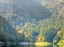 Türkiye adds 12,000 hectares to forest conservation network