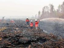 Indonesia fires ‘have burned nearly 2 mln hectares’