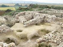 Dietary habits of Lydians revealed in charred seeds