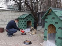 Türkiye converts food waste into animal feed in 74 provinces