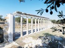Teos excavations shed light on 2,200-year-old history