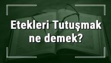 Etekleri Tutuşmak ne demek? Etekleri Tutuşmak deyiminin anlamı ve örnek cümle içinde kullanımı (TDK)