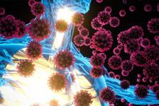 Koronavirüse karşı bağışıklık sistemini güçlendiren beslenme önerileri ve takviyeler
