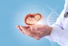 Tüp bebek tedavisinden önce hangi testler yapılmalı?