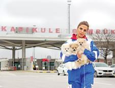 Smuggled animals seized by Turkish customs to be handed over to animal rights federation