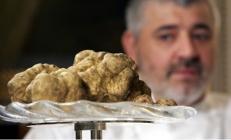 Fransanın kara elması trüf mantarı Fransanın kara elması trüf mantarı