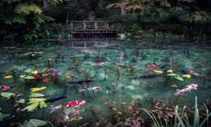 Tıpkı bir tablo gibi: Monets Pond Gölü / Japonya Tıpkı bir tablo gibi: Monets Pond Gölü / Japonya