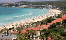 “Bodrum mu, Çeşme mi “Bodrum mu, Çeşme mi