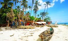 Doğası zengin, halkı yoksul ada: Zanzibar Doğası zengin, halkı yoksul ada: Zanzibar
