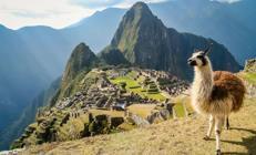 Peru’nun yabancı doğası Peru’nun yabancı doğası
