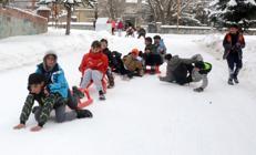 67bb1e50081656cd374398ca.jpg