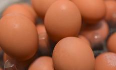 ABD fiyatları düşürmek için Türkiyeden yumurta ithalatına başladı