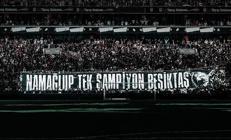 67e858736f37df6d44c0da73.jpg