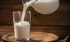 Rekabet Kurumu ünlü süt firmaları hakkında soruşturma açtı