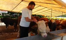 ‘Acele’ koduyla tüm pazarlar kapatıldı Genetik değişiklik tespit edildi