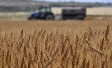 Tarımda yeni rekor Türkiye artık dünyada ilk 7 arasında