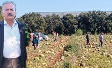 Antalyada sosyal medyadan çağrı yaptı Bedava dağıttı: Tam 120 ton...