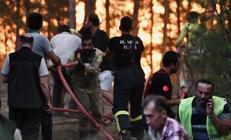 Yangınlardan etkilenen hanelere 10 milyon lira kaynak aktarıldı