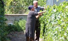 Döşek arasında Ukraynadan getirdiler, yiyenler dua ediyor Cumhurbaşkanı Erdoğana minnettarız