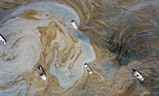 Müsilaj mağduru balıkçıya çifte destek müjdesi