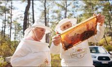 Balda büyük tehlike