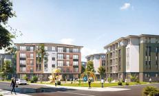 Sosyal konuta büyük ilgi: 1 günde 1 milyona yakın başvuru