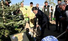 Bakan Yumaklı: 11 Kasımda ağaçlandırma rekoru kırıldı