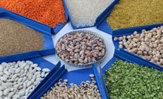 Ramazan öncesi iki üründe gümrük vergileri düşürüldü