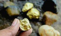 Kanadalı şirketten alındı, beklenenin 3 katı altın çıktı Gözler Sarıkayada