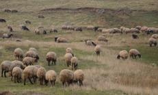 Halk Elinde Islah’a dev destek