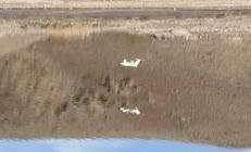 Görünmez, hızlı ve ölümcül Türk savunma sanayiinden bir ilk