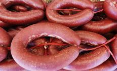 Dana sucukta gıda boyası