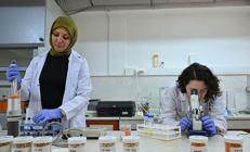 İcat çıkaran kazanacak Asgari ücretin 140 katına kadar ödeme