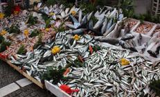 İstavrit tahtını kaybetti, tezgahın kralı değişti