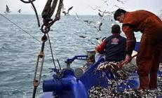 Denizlerde av yasağı yarın başlıyor