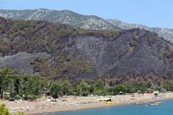 First official statement hints at arson in massive forest fire on Mediterranean