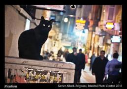 Foreigners see Istanbul through their photo lens