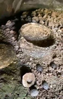 10,000-year-old food found in Bursa cave