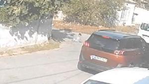 İstanbulda feci olay Kedi severken otomobilin çarptığı çocuk öldü
