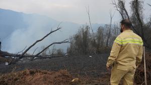Artvin’deki örtü yangını kontrol altına alındı