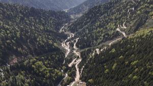 Karadeniz'de yağış değişimi alarmı; orman varlığı gençleştiriliyor