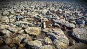 Şanlıurfa’da volkanik bazalt taşlarının altında cephanelik ele geçirildi: 8 gözaltı