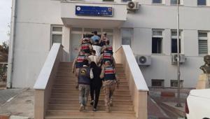 Şanlıurfa'da göçmen kaçakçılığı operasyonu; 18 gözaltı