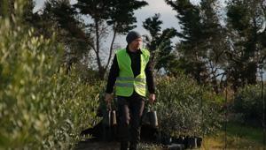 'Ağaç Adam'ın hedefi 1 milyon zeytin fidanı