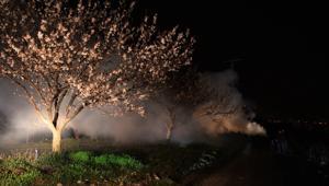 Kayısı üreticileri olası zirai don nöbetinde 