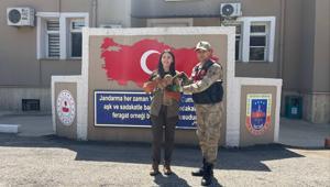 Kilis’te yaralı kızıl şahin bulundu