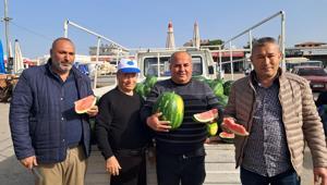 Antalya'da sezonun ilk erkenci karpuzu kilosu 40 liraya alıcı buldu