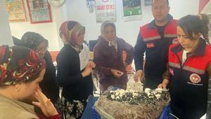 Eğirdir Çayköy’de mantar yetiştiriciliği kursuna yoğun ilgi